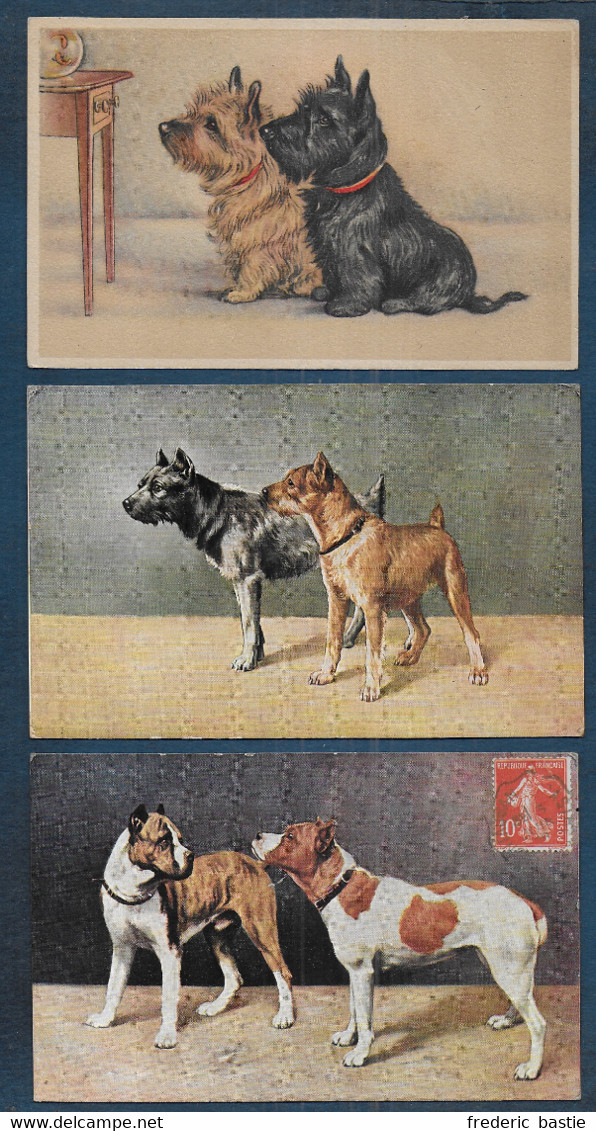 CHIENS - 3 Cartes - Honden