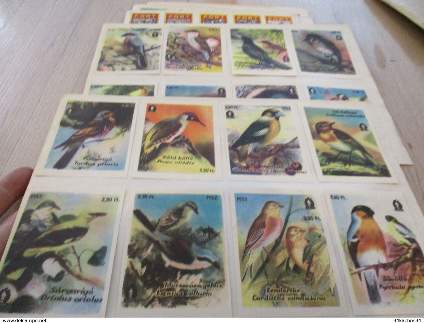 Collection Devant De Boîte D'allumettes Smatches X2 Planches Oiseaux Birds En Flamand - Luciferdozen