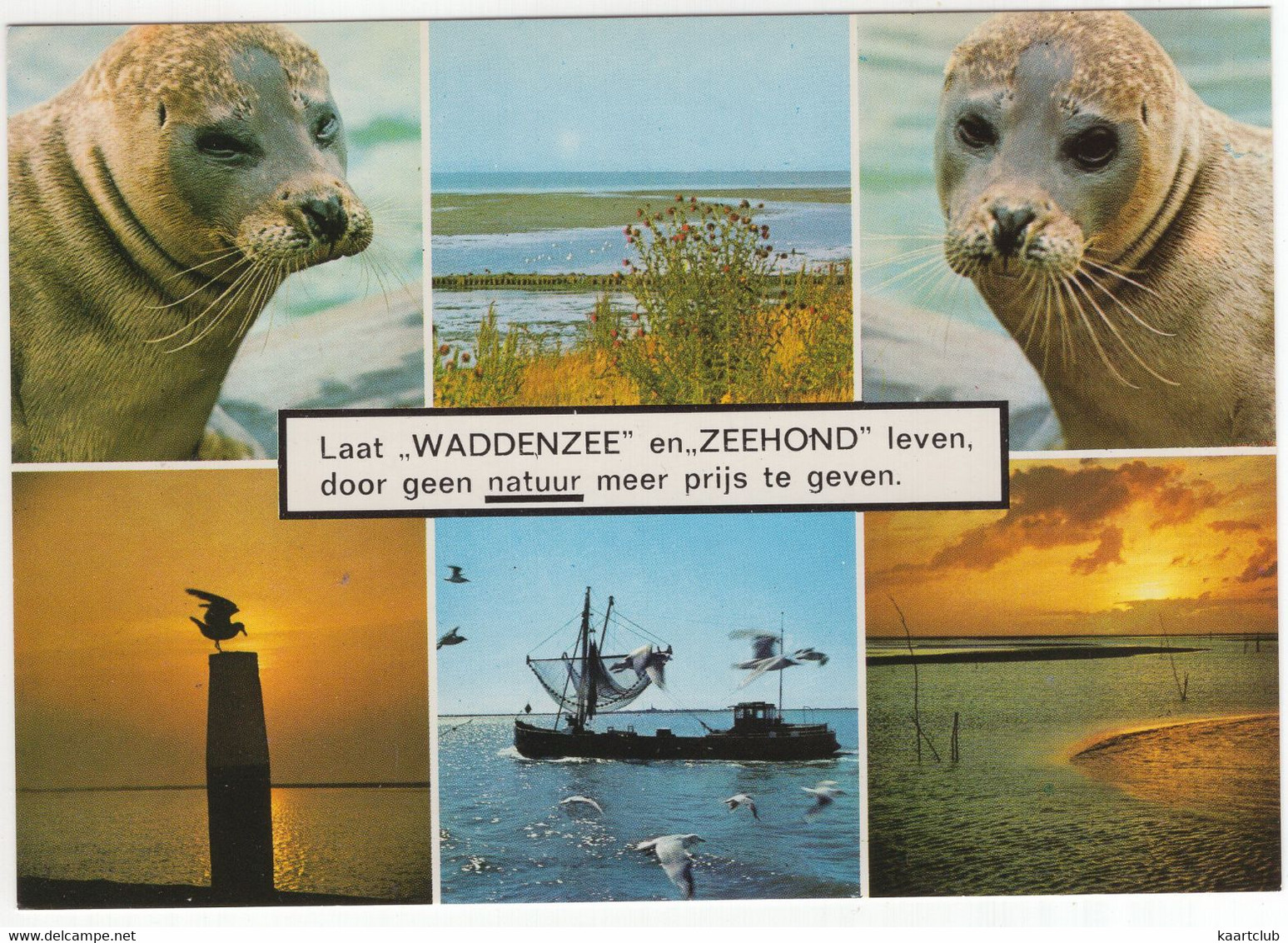 Laat 'WADDENZEE' En 'ZEEHOND' Leven, Door Geen Natuur Meer Prijs Te Geven. - (Nederland/Holland) - Nr. 360 - Altri & Non Classificati