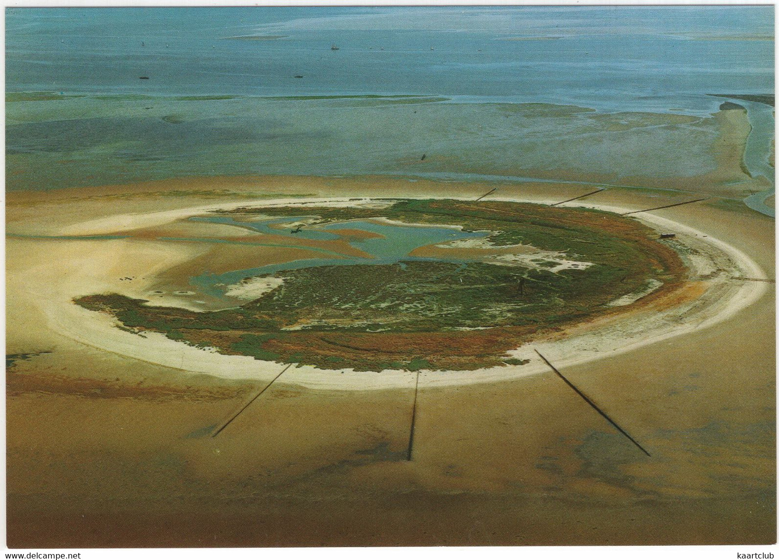 De Waddenzee - Een Uniek Natuurgebied: Vogeleiland Griend - (Nederland/Holland) - Nr. WAN 2 - Sonstige & Ohne Zuordnung