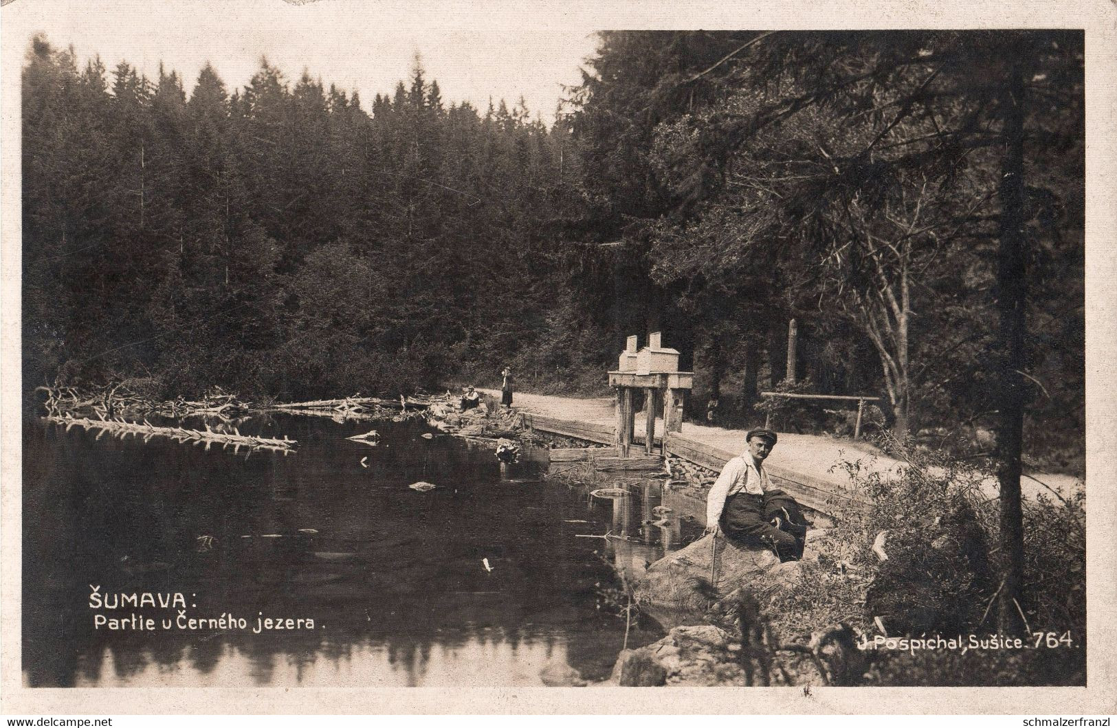 AK Partie U Cerneho Jezera Cerne Jezero Schwarzer See A Zelezna Ruda Markt Eisenstein Spitzberg Spicak Böhmerwald Sumava - Czech Republic