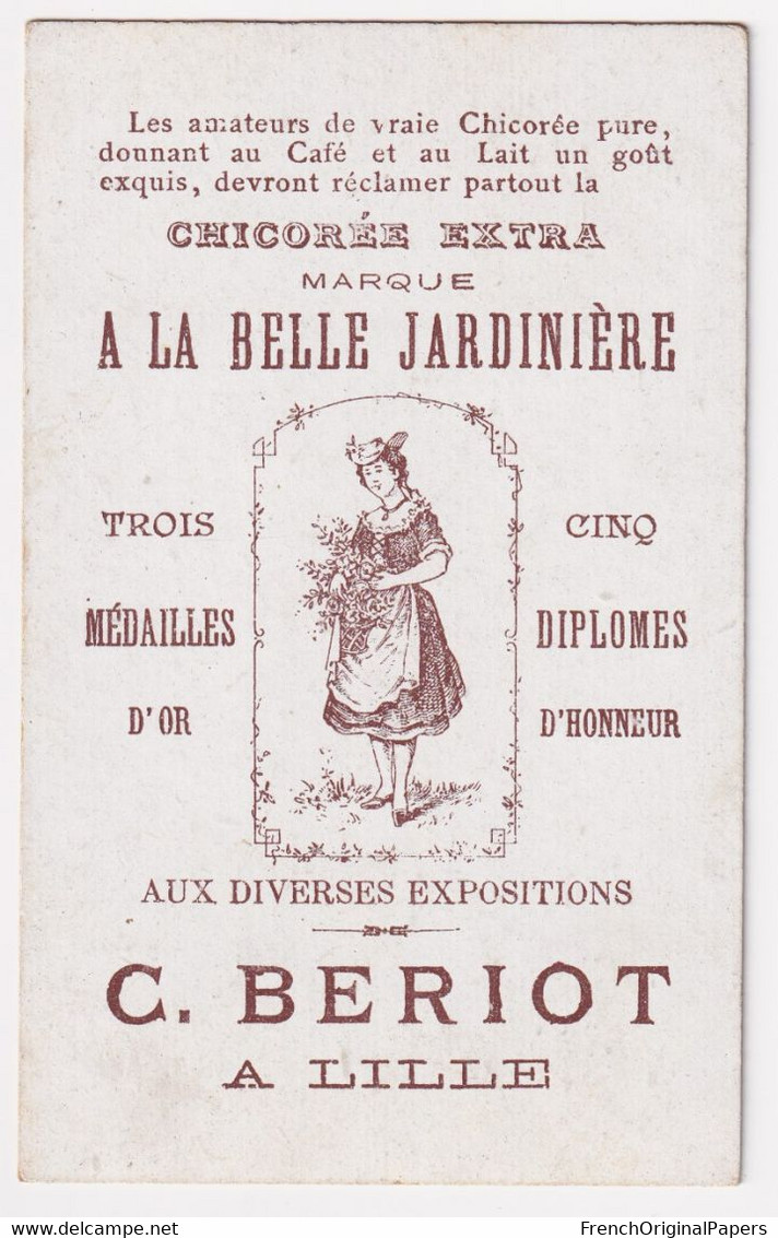 Anthropomorphisme Chromo Bériot Saône Et Loire Boeuf Charollais Vin De Macon Romanèche Abricot Poire Pomme Terre A62-77 - Té & Café