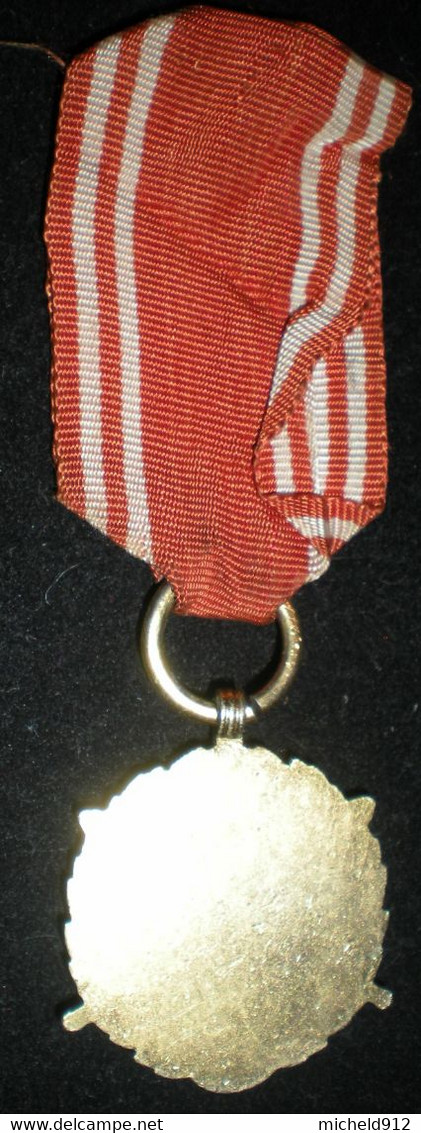 MEDAILLE DES SERVICES ARMES DE TROISIEME CLASSE - 20 ANS DE SERVICE - POLOGNE - Andere & Zonder Classificatie