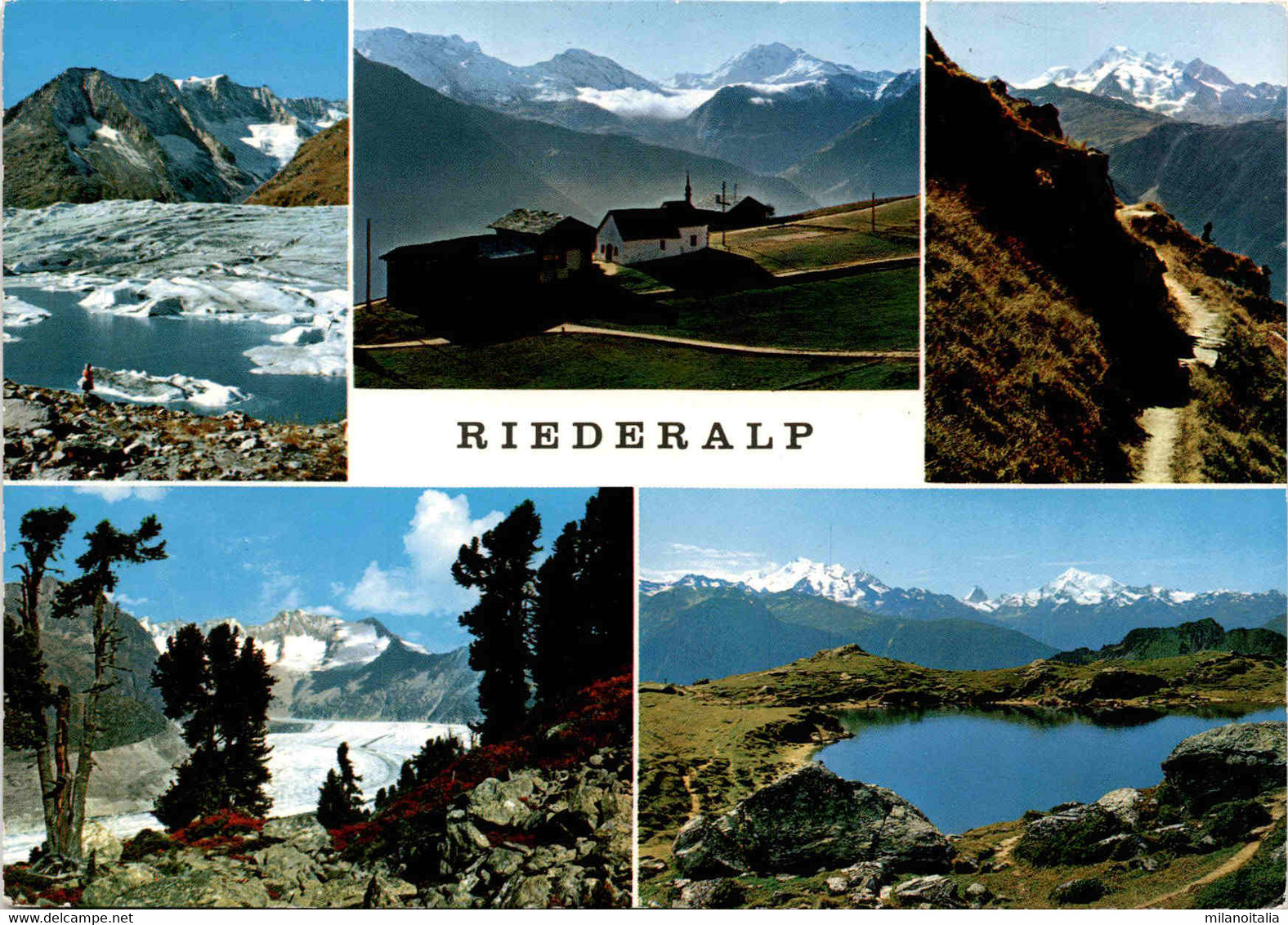 Riederalp - 5 Bilder (44900) - Riederalp