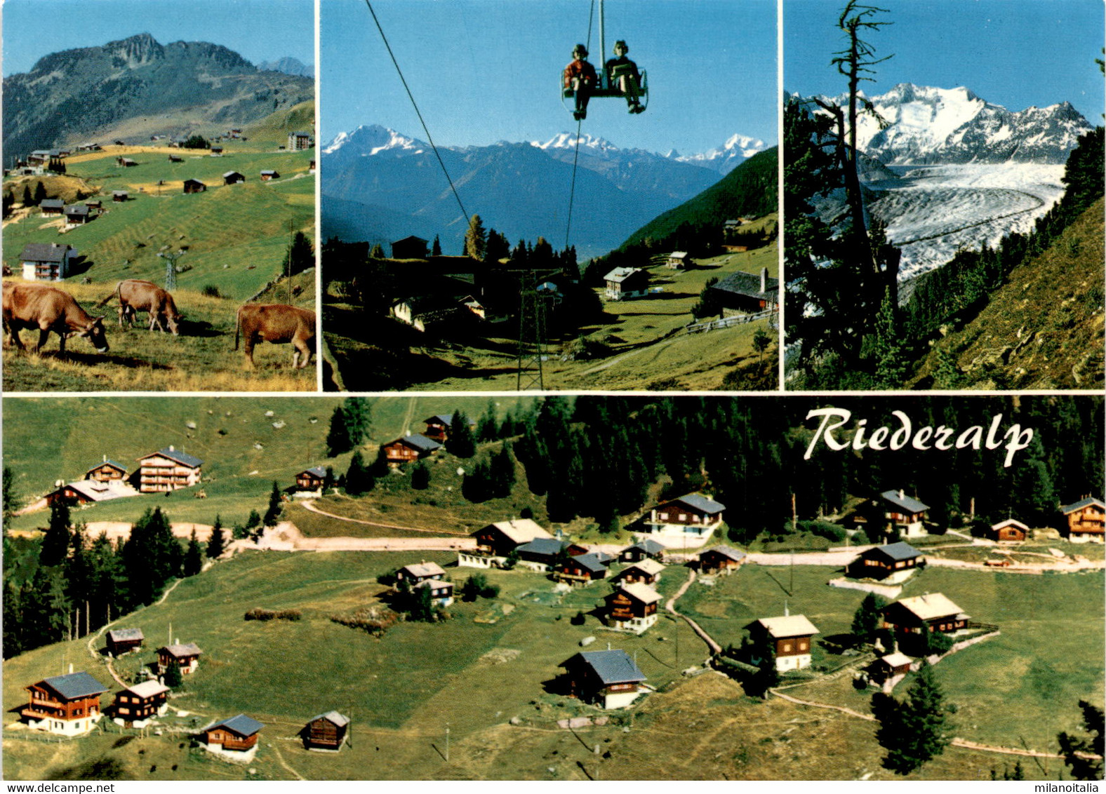 Riederalp - 4 Bilder (19205) - Riederalp