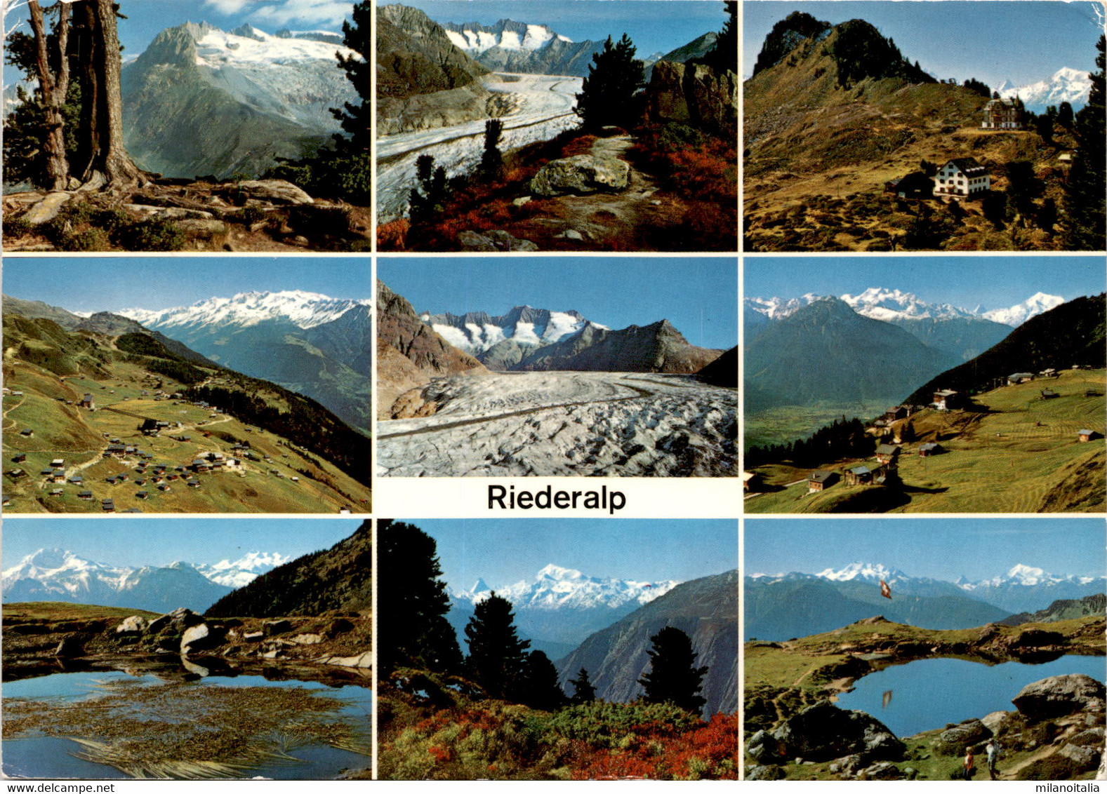 Riederalp - 9 Bilder (44600) * 14. 8. 1974 - Riederalp