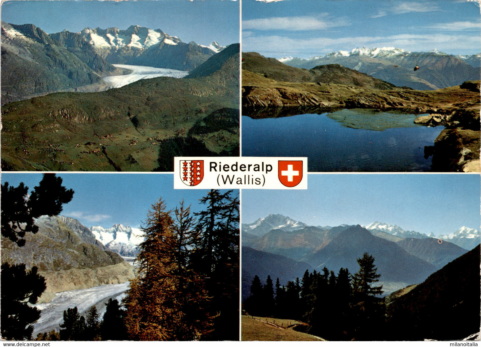 Riederalp (Wallis) - 4 Bilder (18655) * 1. 8. 1973 - Riederalp