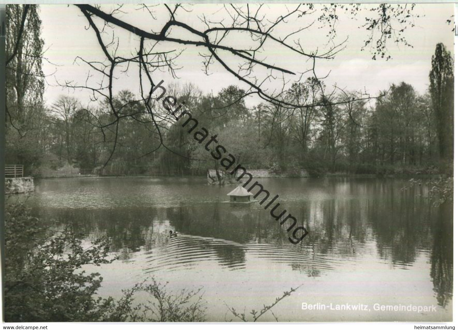 Berlin-Lankwitz - Gemeindepark - Foto-Ansichtskarte - Verlag Kl.-P. Heyn Berlin - Lankwitz