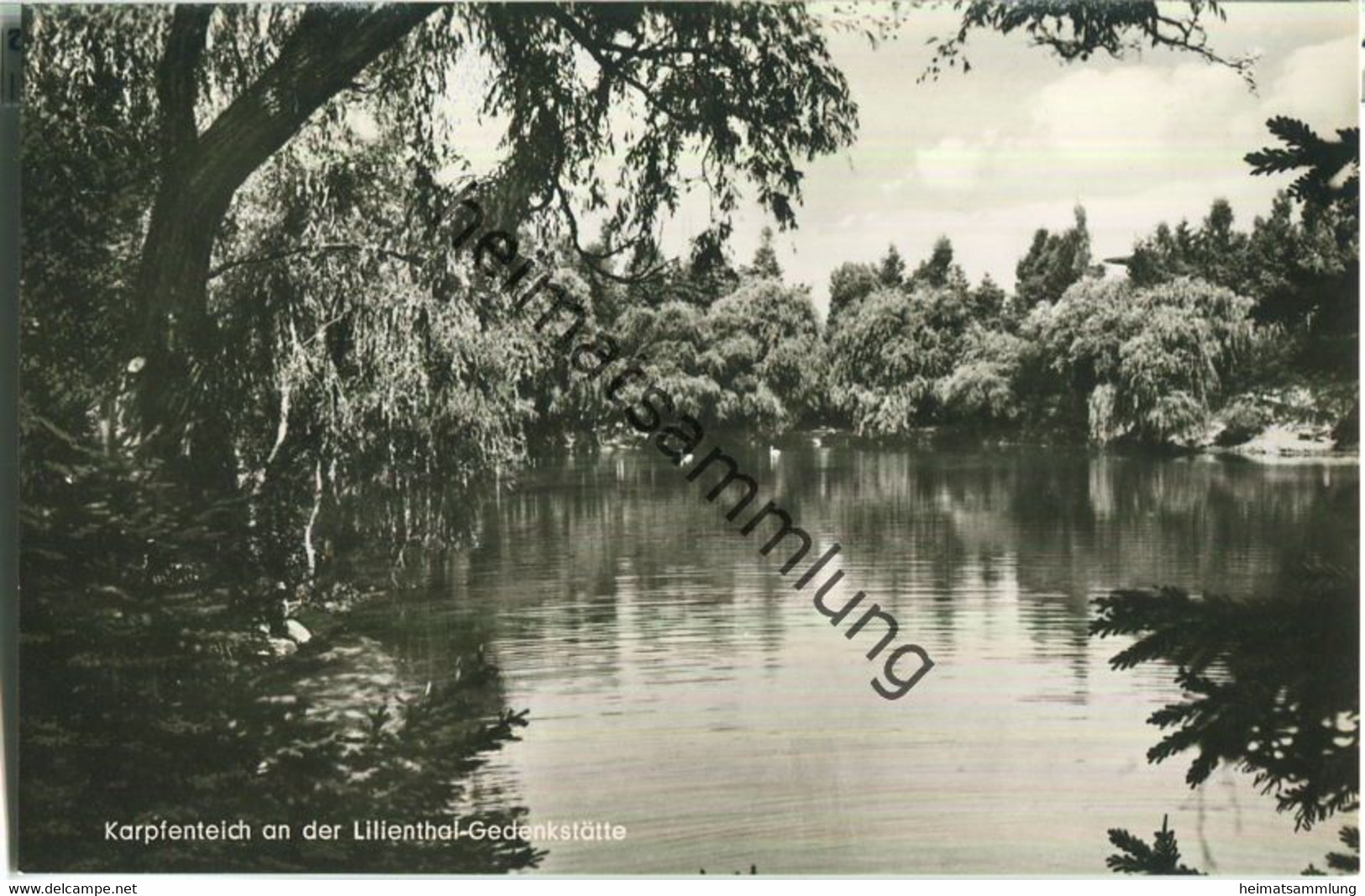 Karpfenteich An Der Lilienthal-Gedenkstätte - Foto-Ansichtskarte - Verlag Max O'Brien Berlin - Lichterfelde