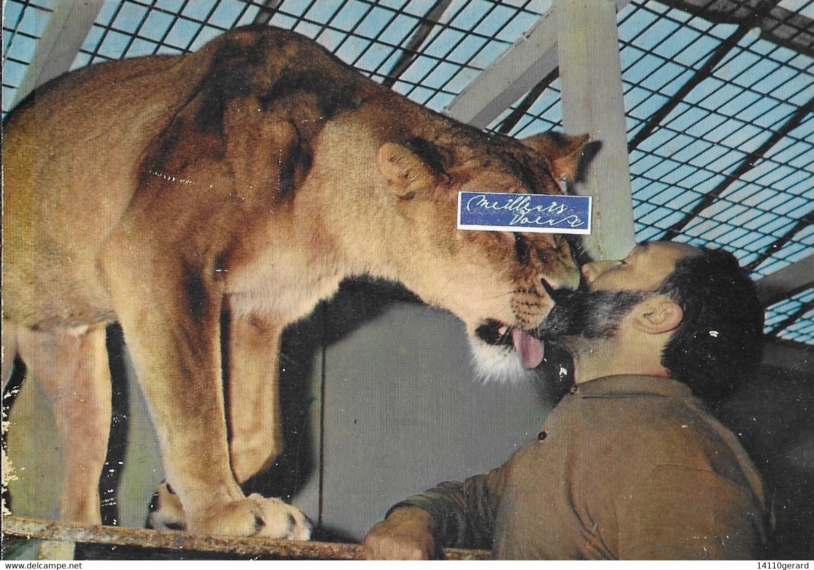 LA FLÉCHE PARC ZOOLOGIQUE JACQUES BOUILLAUT NATURALISTE - La Fleche