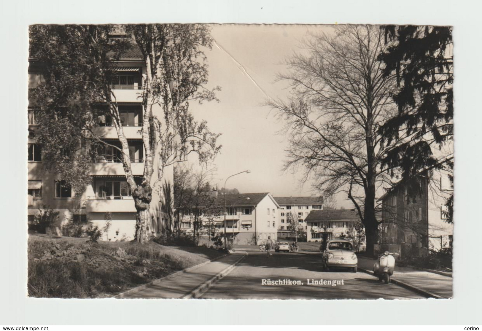 RUSCHLIKON:  LINDENGUT  -  LEICHTE  FALTE  -  PHOTO  -  KLEINFORMAT - Rüschlikon