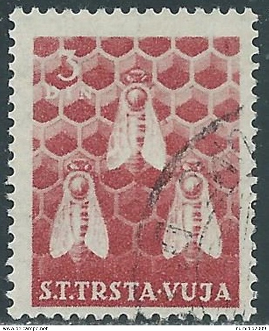 1951 TRIESTE B USATO ANIMALI DOMESTICI 3 D - RA10-2 - Gebraucht