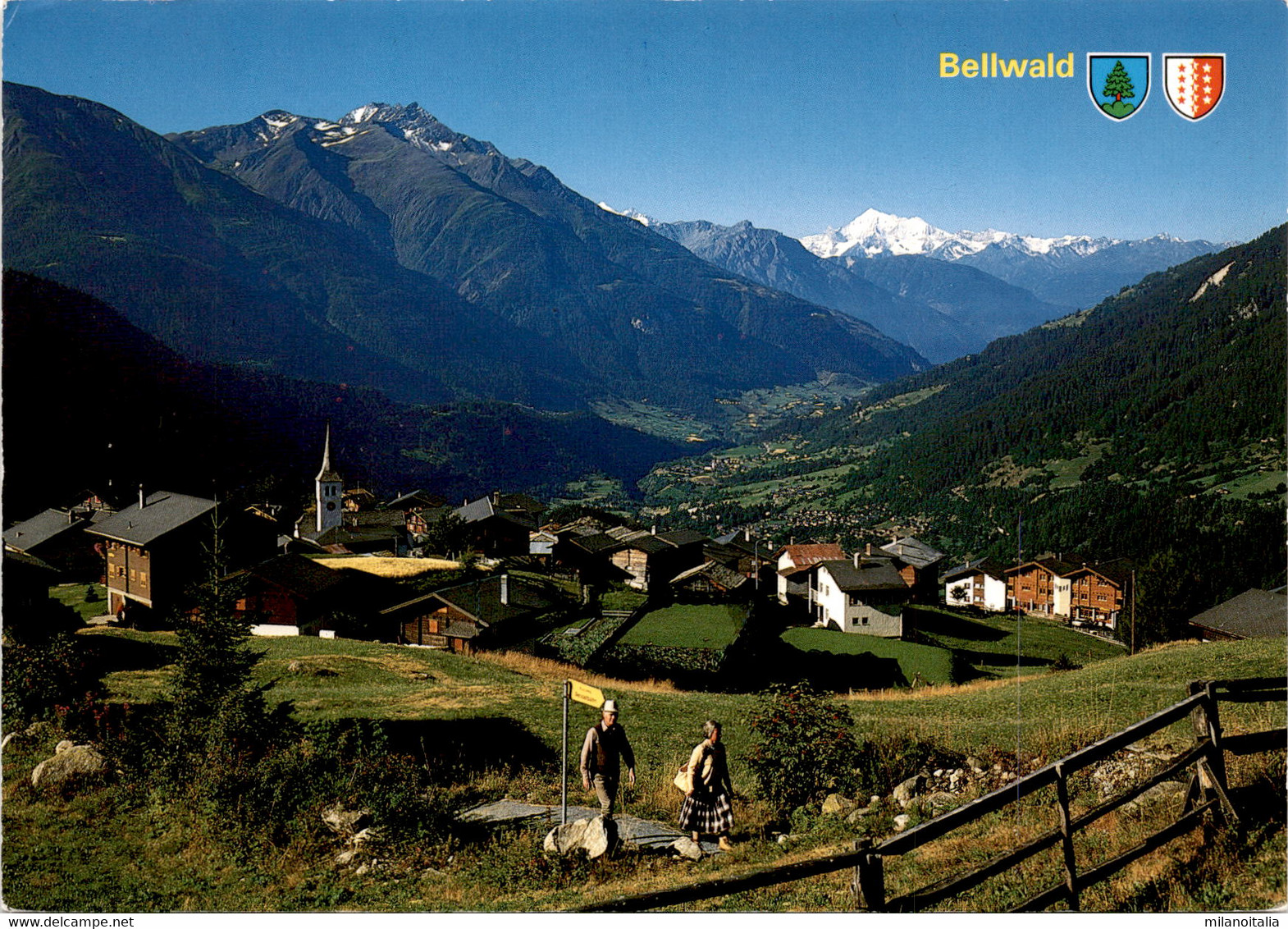 Bellwald (43647) * 7. 8. 2000 - Bellwald