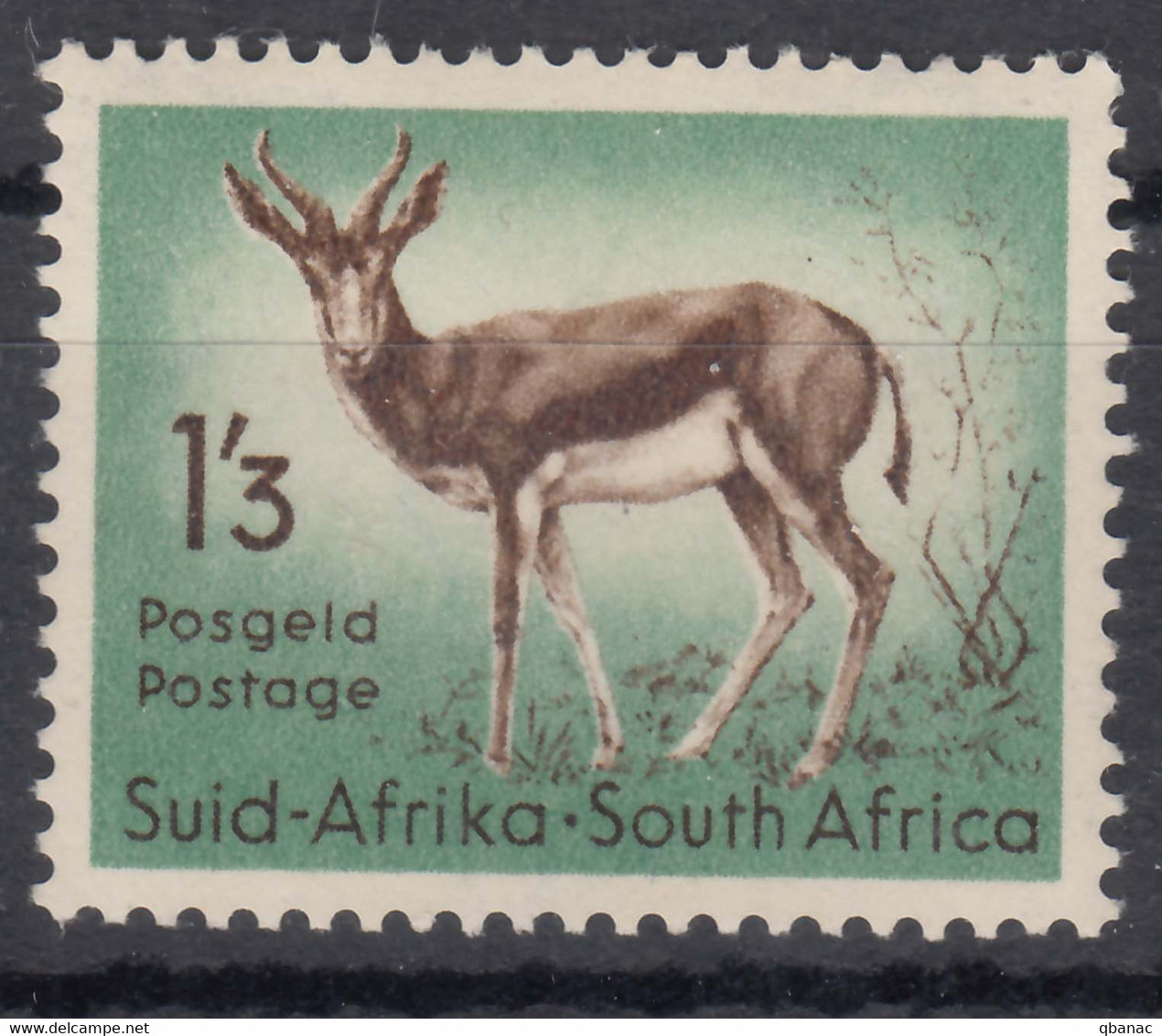 South Africa 1954 Mi#248 Mint Hinged - Unused Stamps