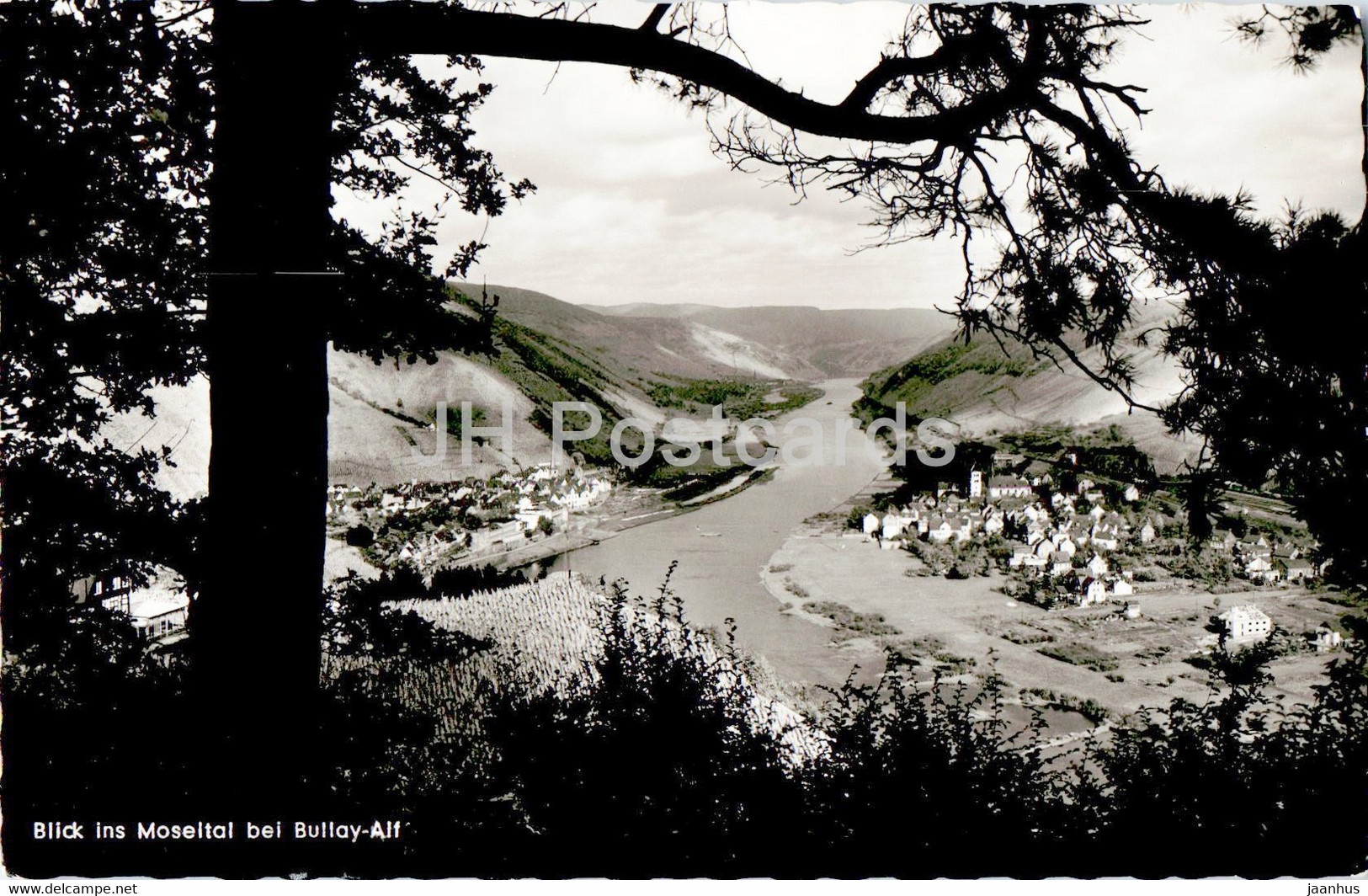 Blick Ins Moseltal Bei Bullay Alf - Berghotel Marienburg - Old Postcard - Germany - Unused - Alf-Bullay