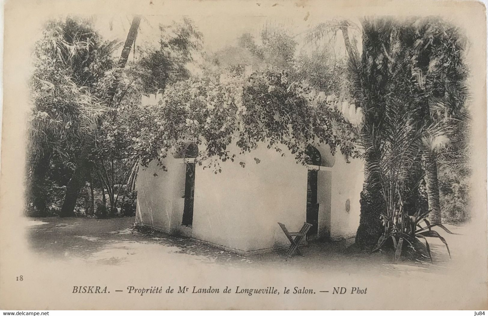 Algérie - Biskra - Propriété De Mr Landon De Longueville - Le Salon - Carte Postale Vierge - Biskra