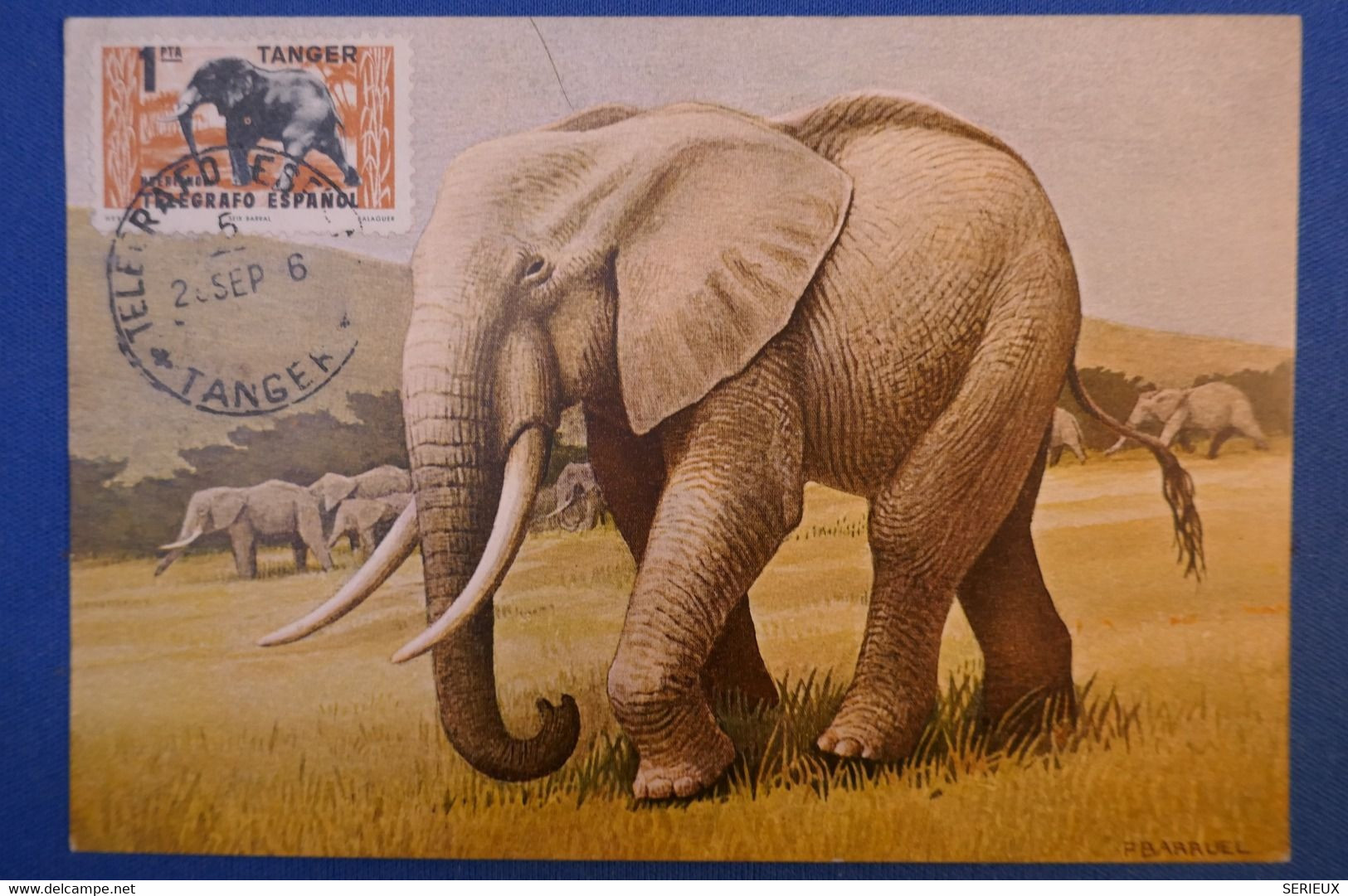 A22 ESPAGNE TANGER BELLE CARTE 1956 +TELEGRAFO ESPANOL+ AFFRANCHISSEMENT PLAISANT + DESSINS ELEPHANTS - Covers & Documents