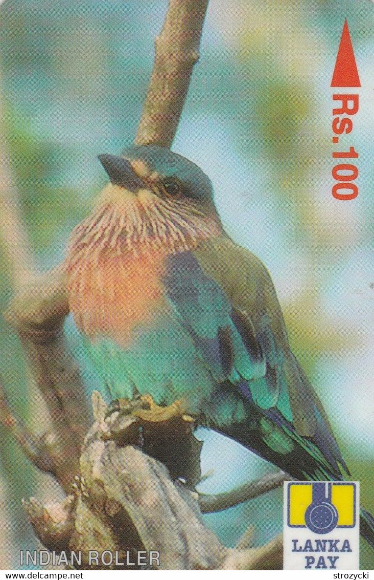 Sri Lanka (Ceylon) - Indian Roller - 35SRLB - Sri Lanka (Ceylon)