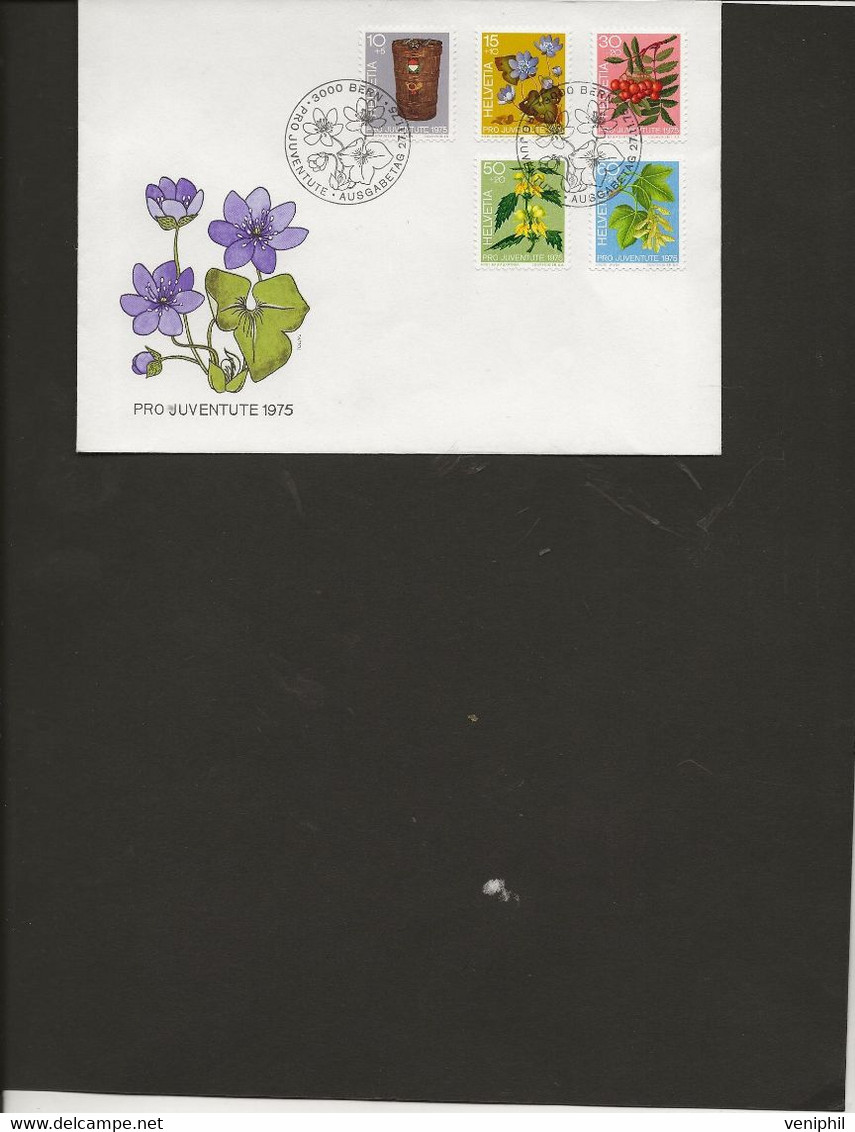 SUISSE - SERIE PRO JUVENTUTE N°994 A 998 SUR LETTRE FDC  -ANNEE 1975 - FDC