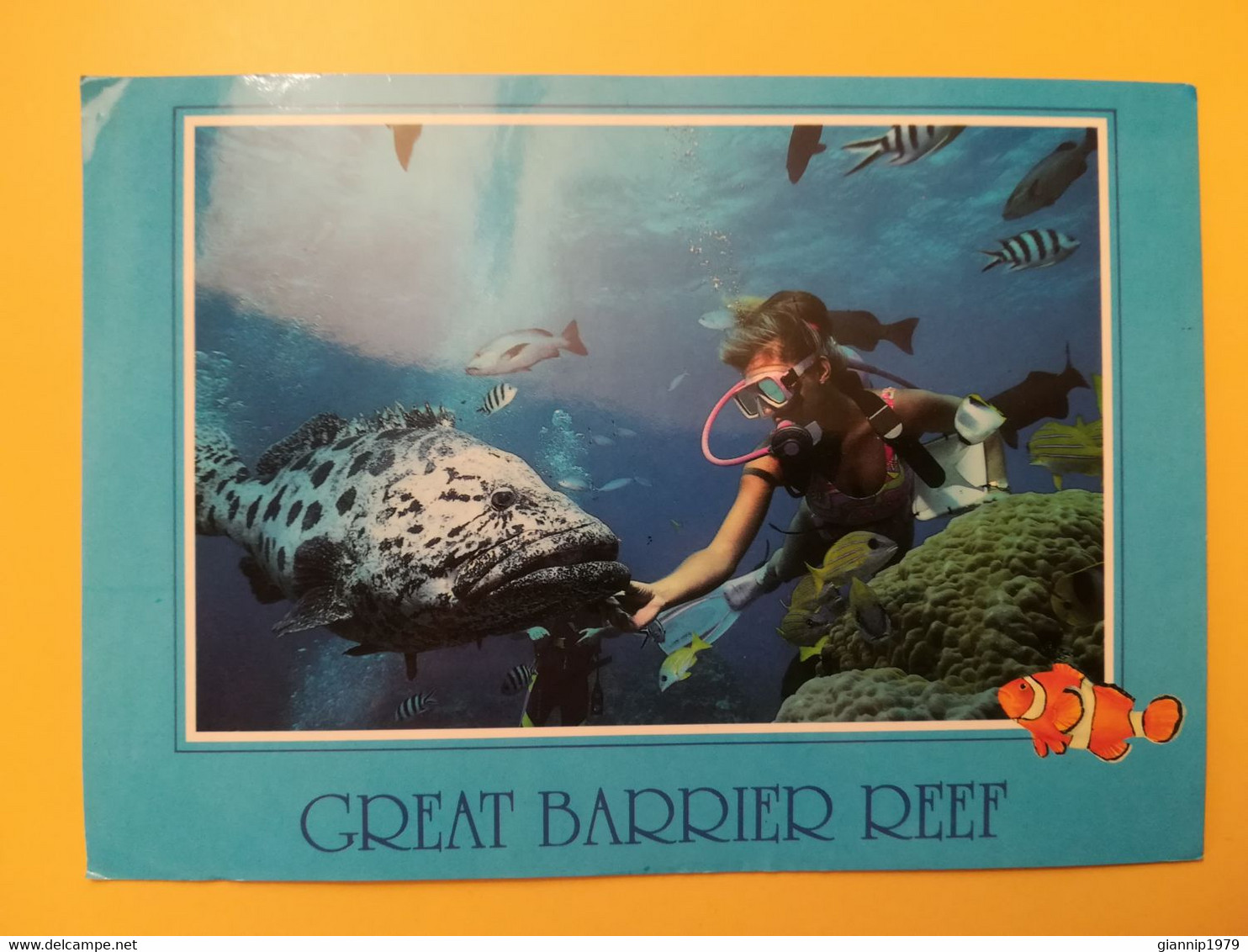 CARTOLINA POSTCARDS AUSTRALIA 1992 FISH BARRIER REEF NORTH QUEENSLAND BOLLO EXPLORERS OBLITERE' - Far North Queensland