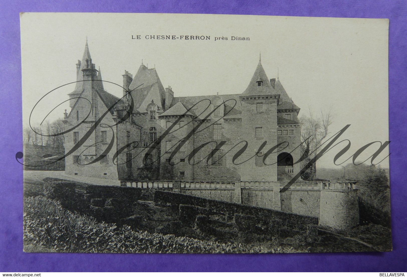 Le Chesne-ferron Dinan Chateau  D22 - Dinan