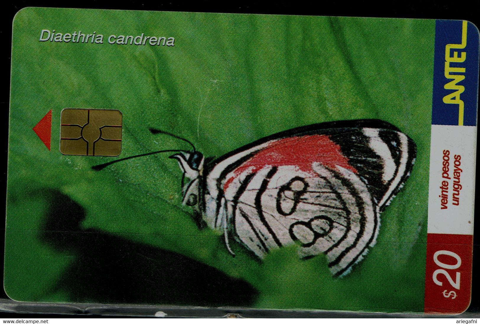 URUGUAY 2002 PHONECARDS BUTTERFLIES USED VF!! - Butterflies
