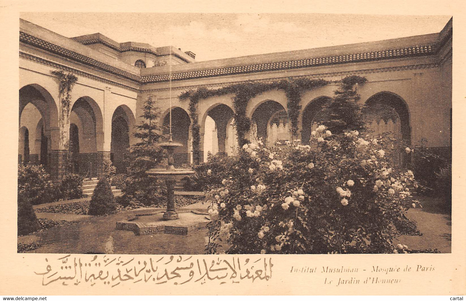 75 - PARIS - Institut Musulman - Mosquée De Paris - Le Jardin D'Honneur - Arrondissement: 05