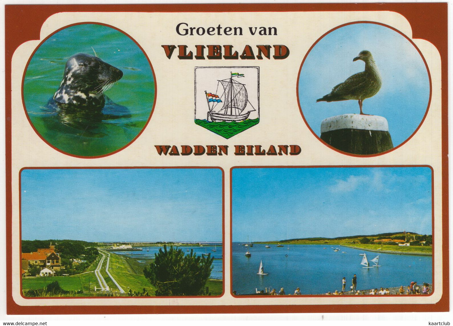 Groeten Van Vlieland - Wadden Eiland - (Wadden, Nederland/Holland) - Nr.  VLD 72 - Vlieland