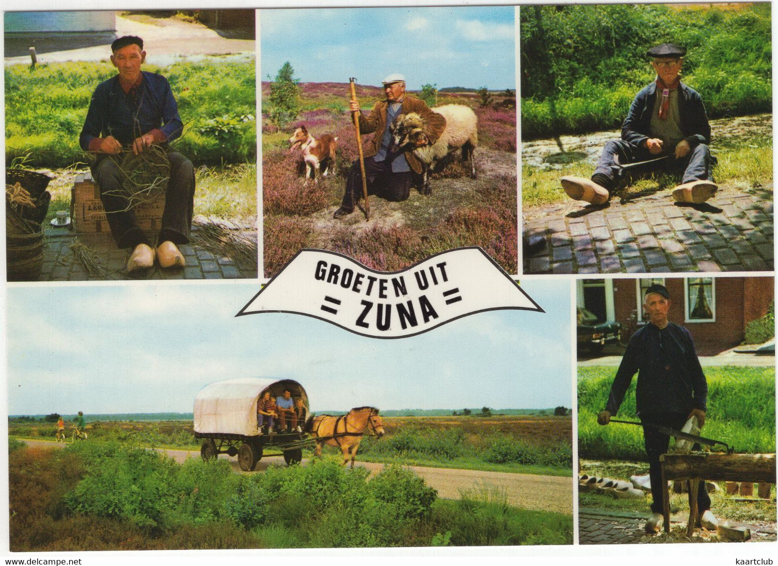 Groeten Uit Zuna - (Uitg. Camping T Molke, Nijverdal) - (Overijssel, Nederland/Holland) - Nr. L 3042 - Boerenleven - Wierden