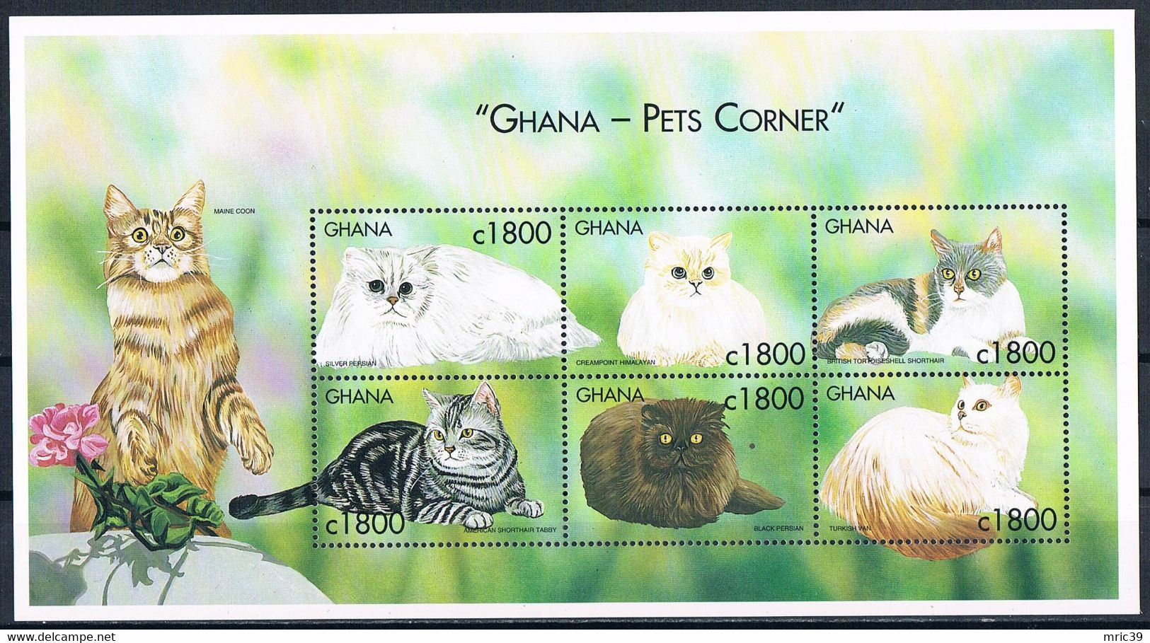 Bloc Sheet Chats Cats   Neuf  MNH **  Ghana 2000 - Chats Domestiques