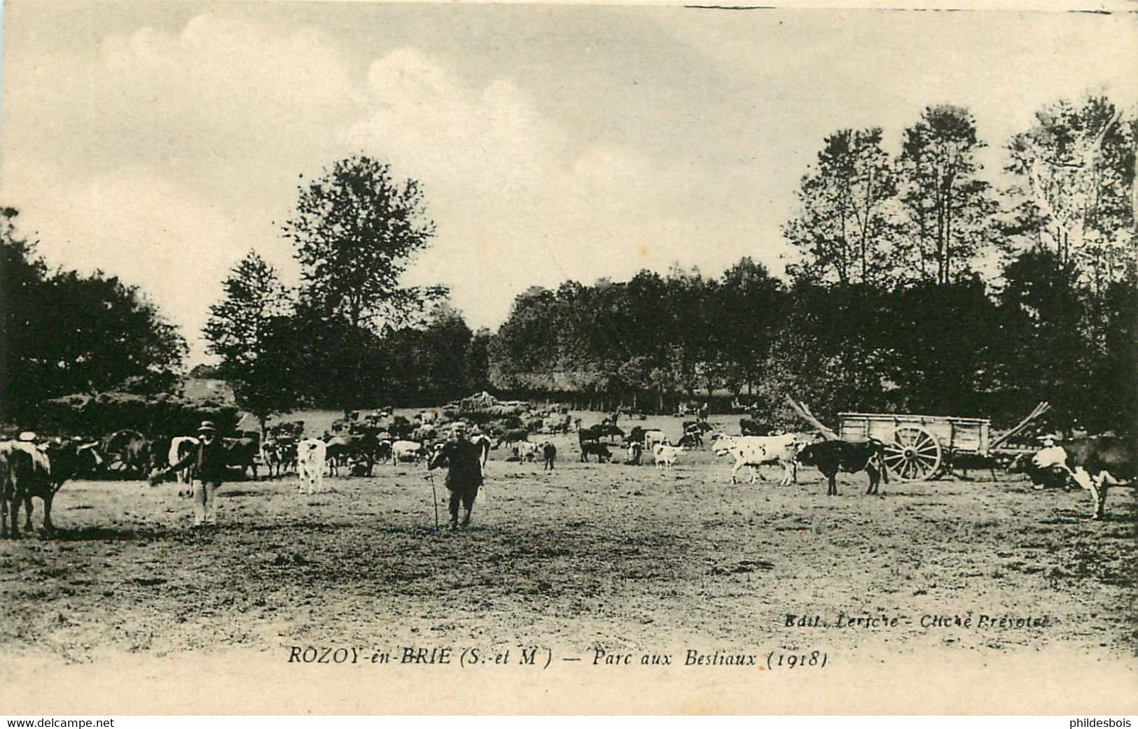 SEINE ET MARNE  ROZOY EN BRIE  Parc Aux Bestiaux - Rozay En Brie