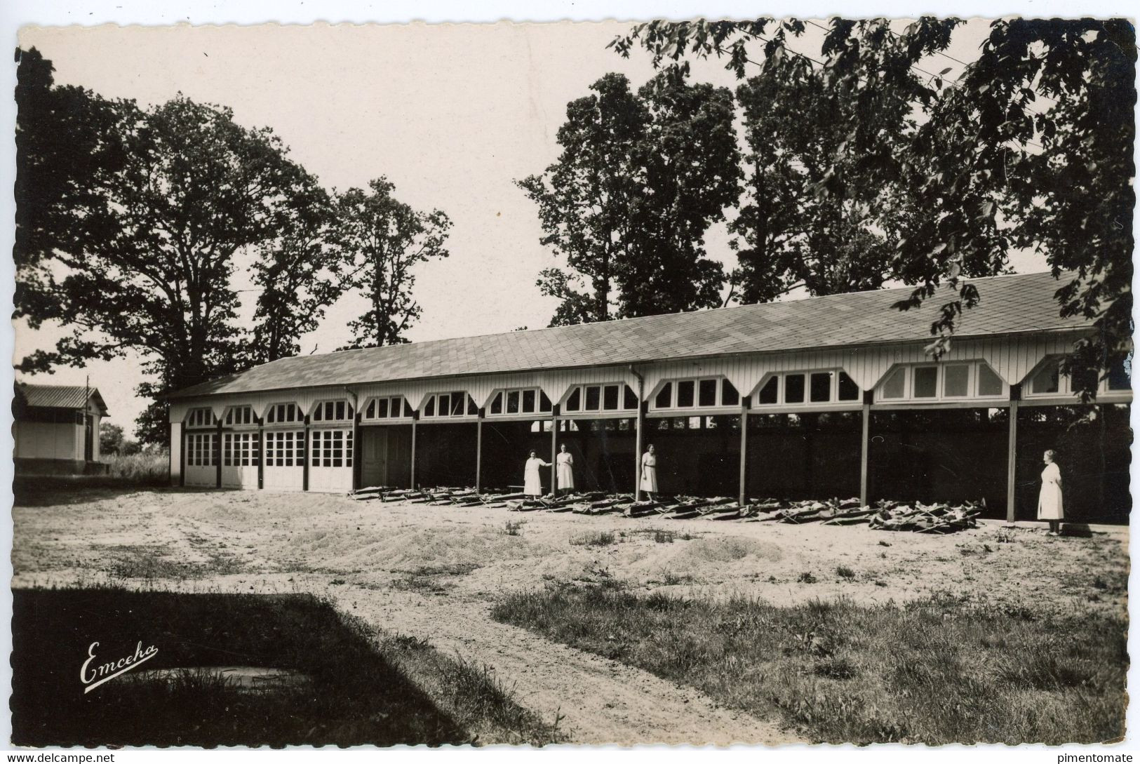 LE LOUROUX BECONNAIS COLONIE SANITAIRE DU CHILLON PREAU ET SALLE DES FETES 1960 - Le Louroux Beconnais