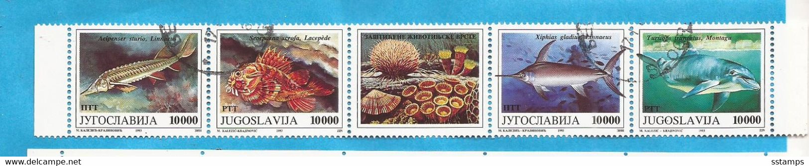 1993  JUGOSLAVIJA  JUGOSLAWIEN NATURSCHUTZ WWF  MEERESTIERE FISCHE   USED - Used Stamps