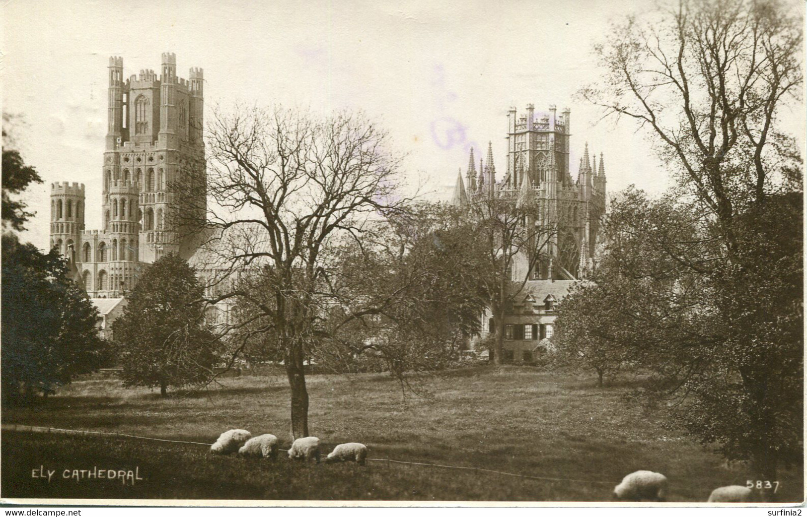 CAMBS - ELY - CATHEDRAL RP Ca375 - Ely