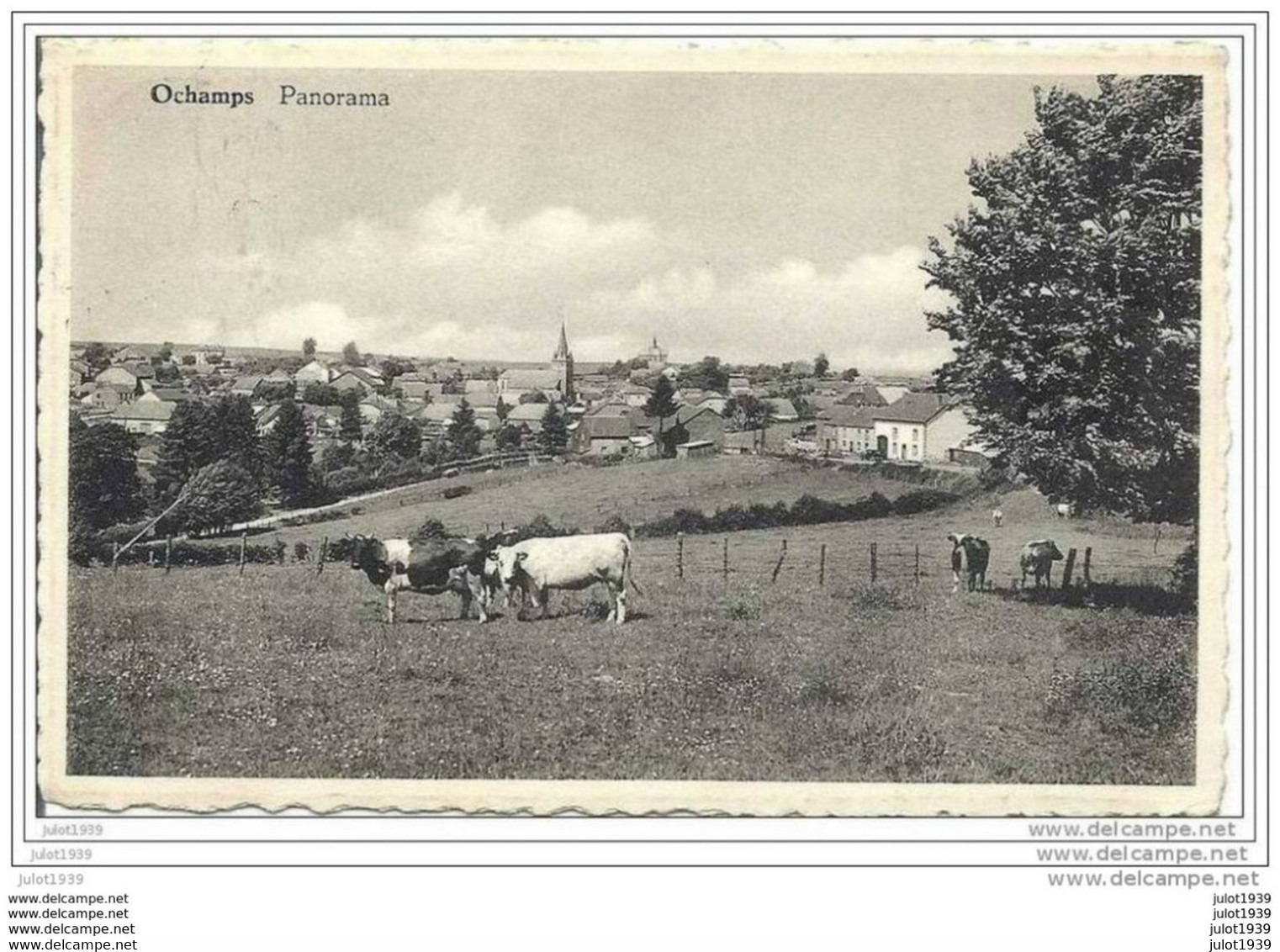 OCHAMPS ..--  Panorama . 1954 Vers MARCHIENNE ( Mr Mme NEFFE ) . Voir Verso . - Libin