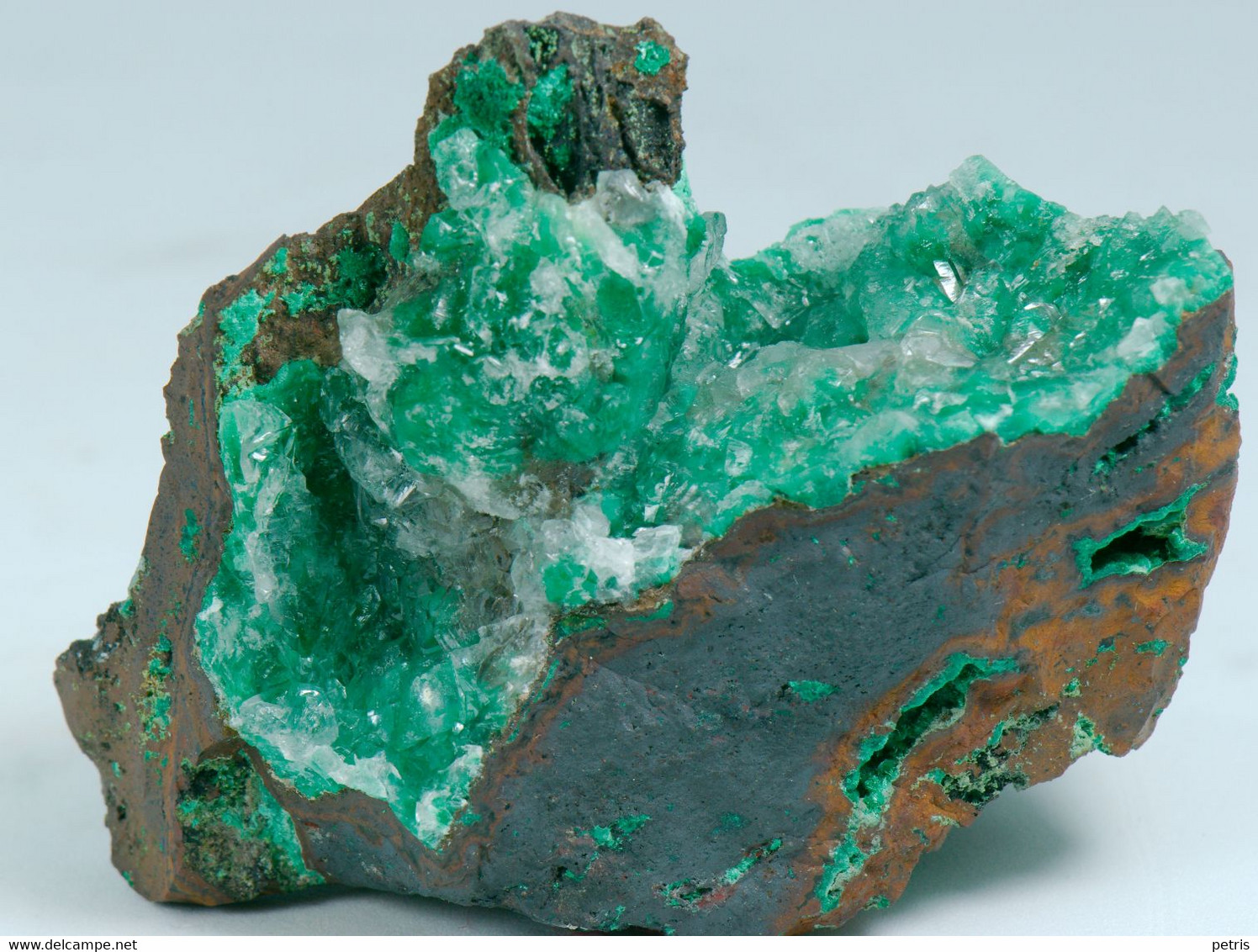 Mineral - Quarzo Con Malachite (Zacatecas, Messico) - Lot. 697 - Minéraux