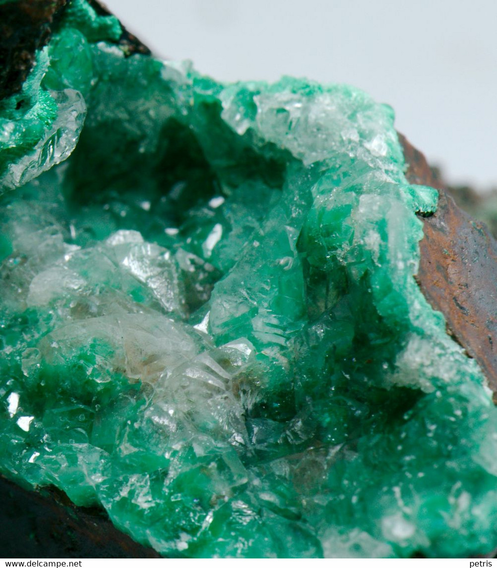 Mineral - Quarzo Con Malachite (Zacatecas, Messico) - Lot. 697 - Minéraux