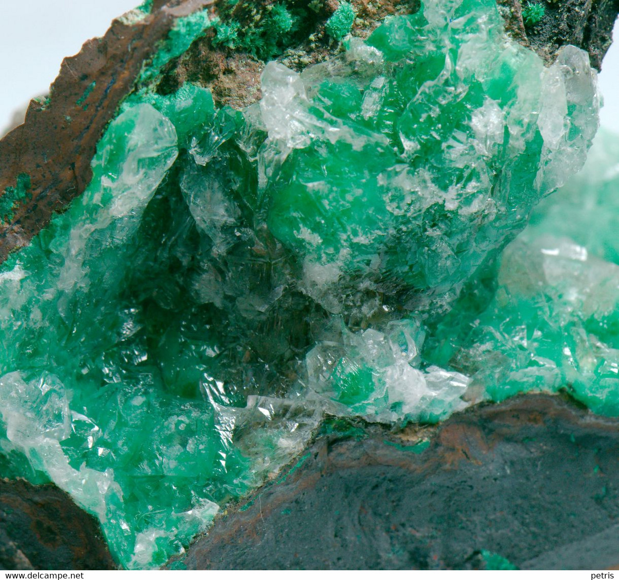 Mineral - Quarzo Con Malachite (Zacatecas, Messico) - Lot. 697 - Minéraux