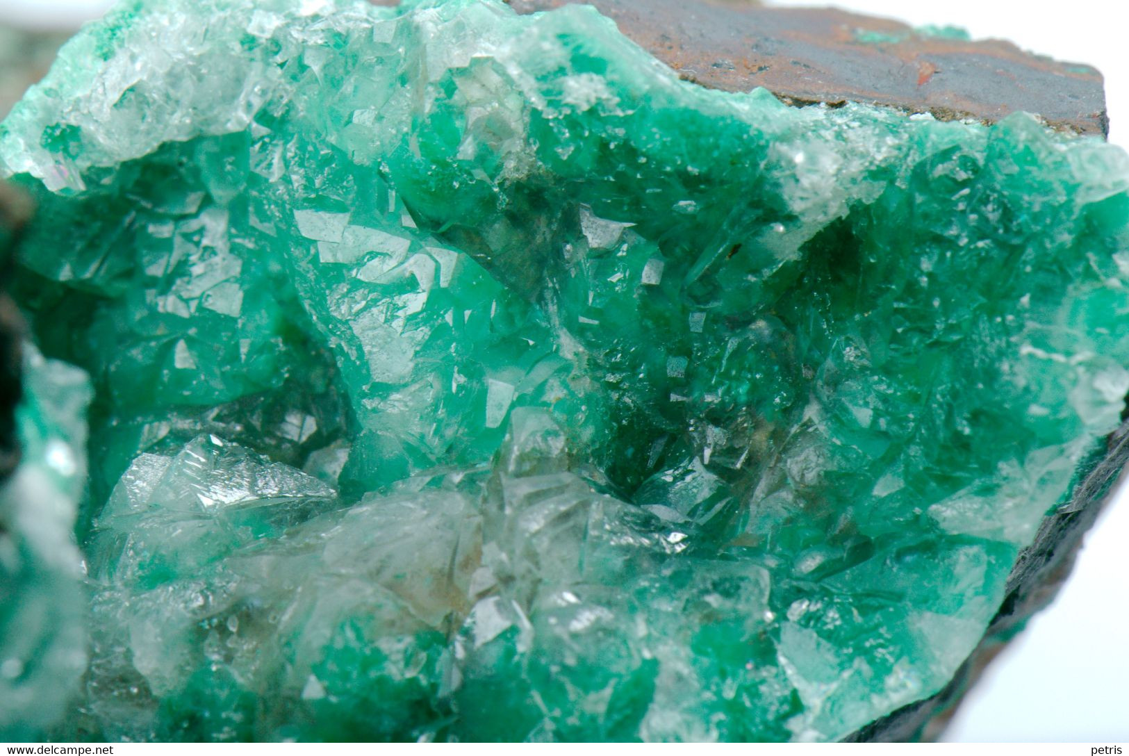 Mineral - Quarzo Con Malachite (Zacatecas, Messico) - Lot. 697 - Minéraux