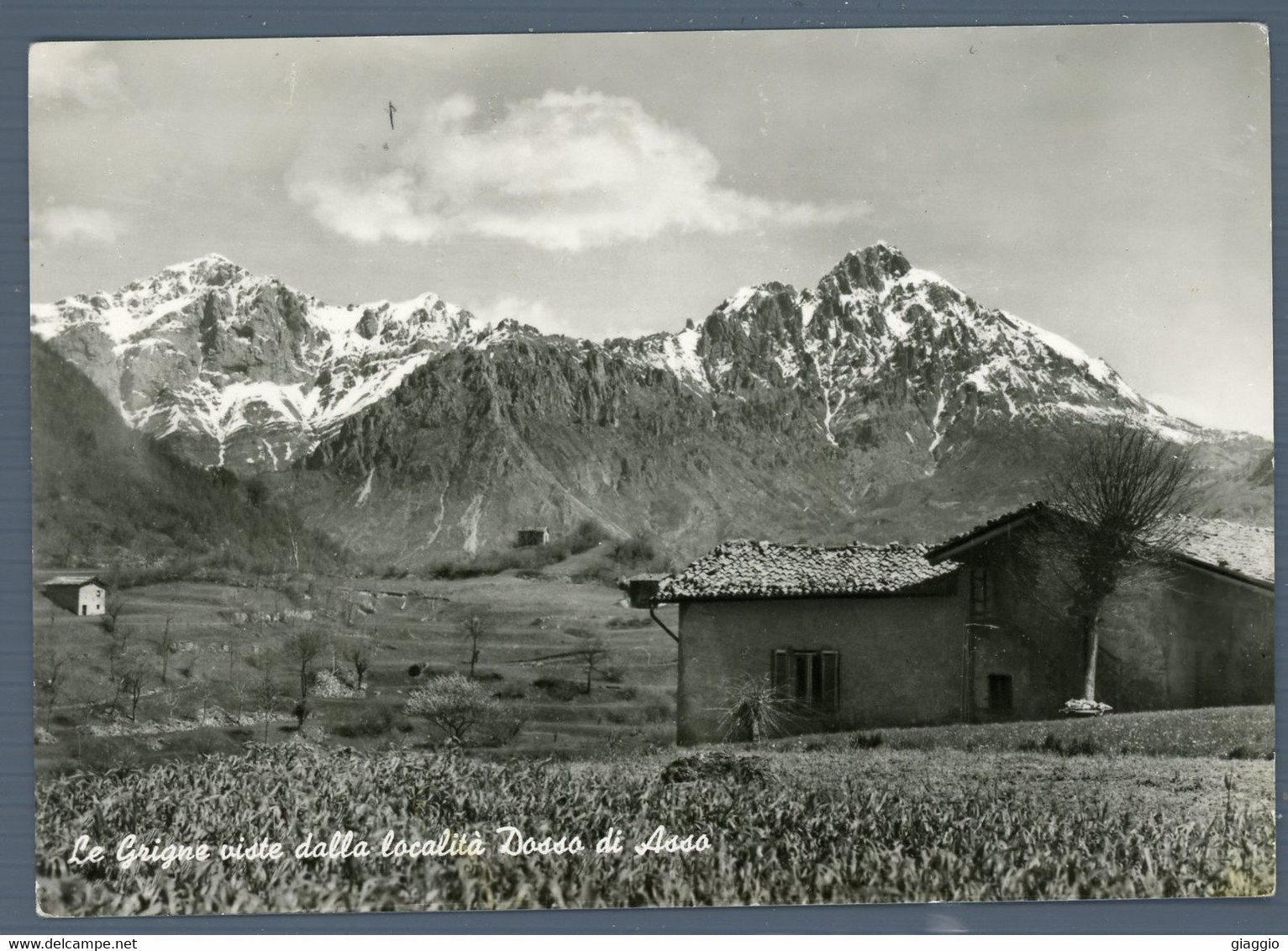 °°° Cartolina - Le Grigne Viste Dalla Località Dosso Di Asso Nuova ( L ) °°° - Lecco