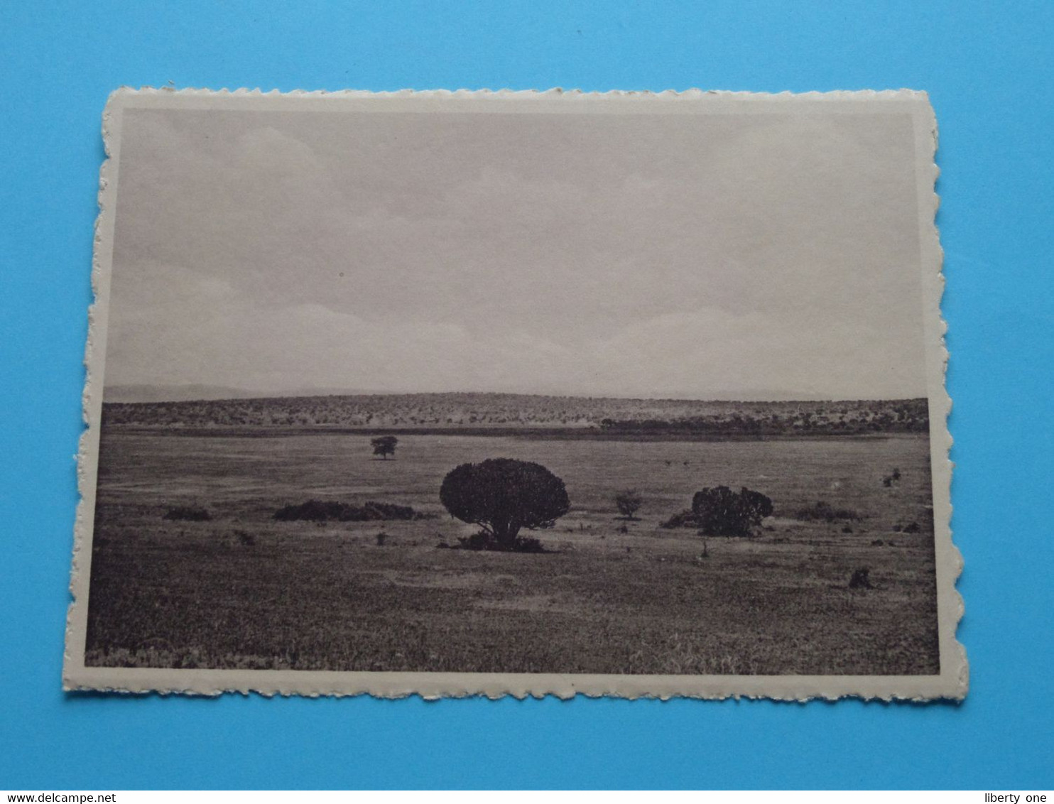 Parc National De La KAGERA - La Plaine KAMAKABA ( Photo G. F. De Witte ) Anno 19?? ( Zie Scan ) ! - Congo Belge