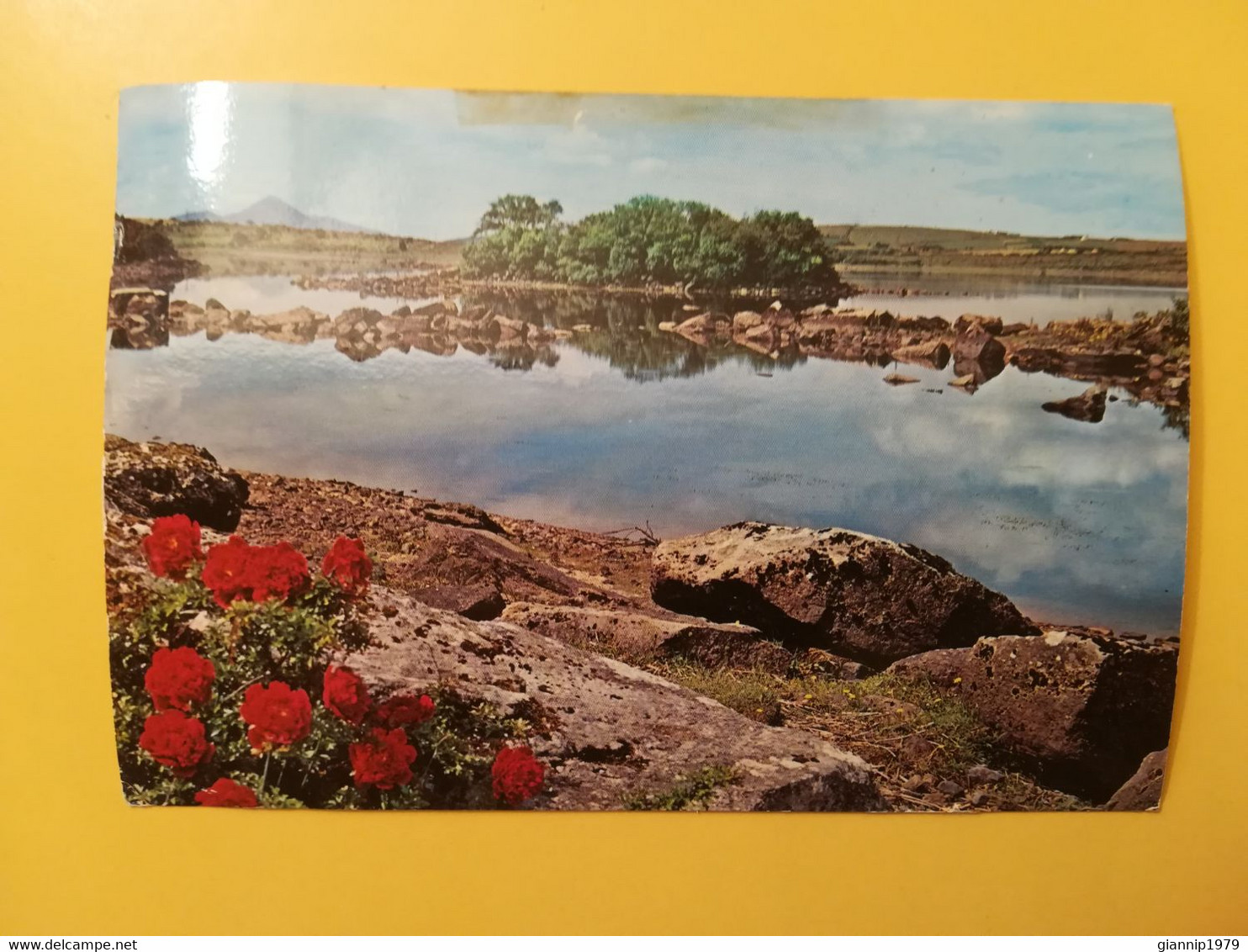 CARTOLINA POSTCARDS IRLANDA IRLAND EIRE 1970 LOUGH MALLARD CASTLEBAR CONG BOLLO LION OBLITERE' - Mayo