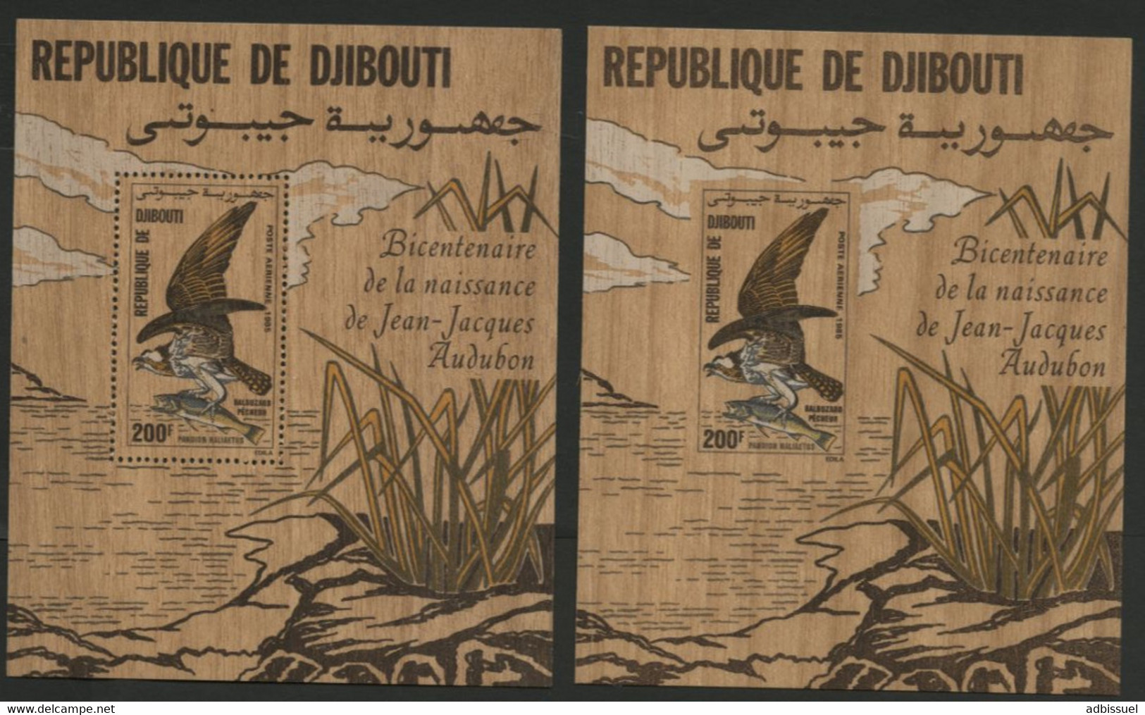 DJIBOUTI Epreuve Non Dentelé Sur Feuillet De Bois / Proof Imperforated On Wood. Balbuzar / J.J. Audubon - Dschibuti (1977-...)