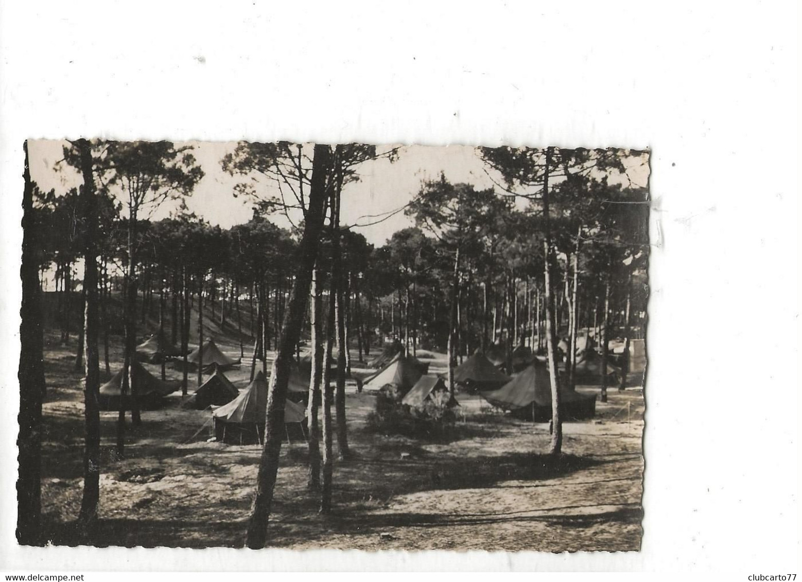 Saint-Hilaire-de-Riez (85) : Le Camp De Toile "Poitou" De La SNCF Dans Le Bois De Pins De Sion-sur-l'Océan En 1950 PF. - Saint Hilaire De Riez