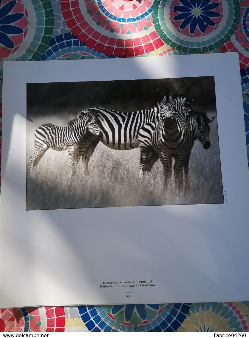 Photographie Animaux D'une Reserve - Afrique