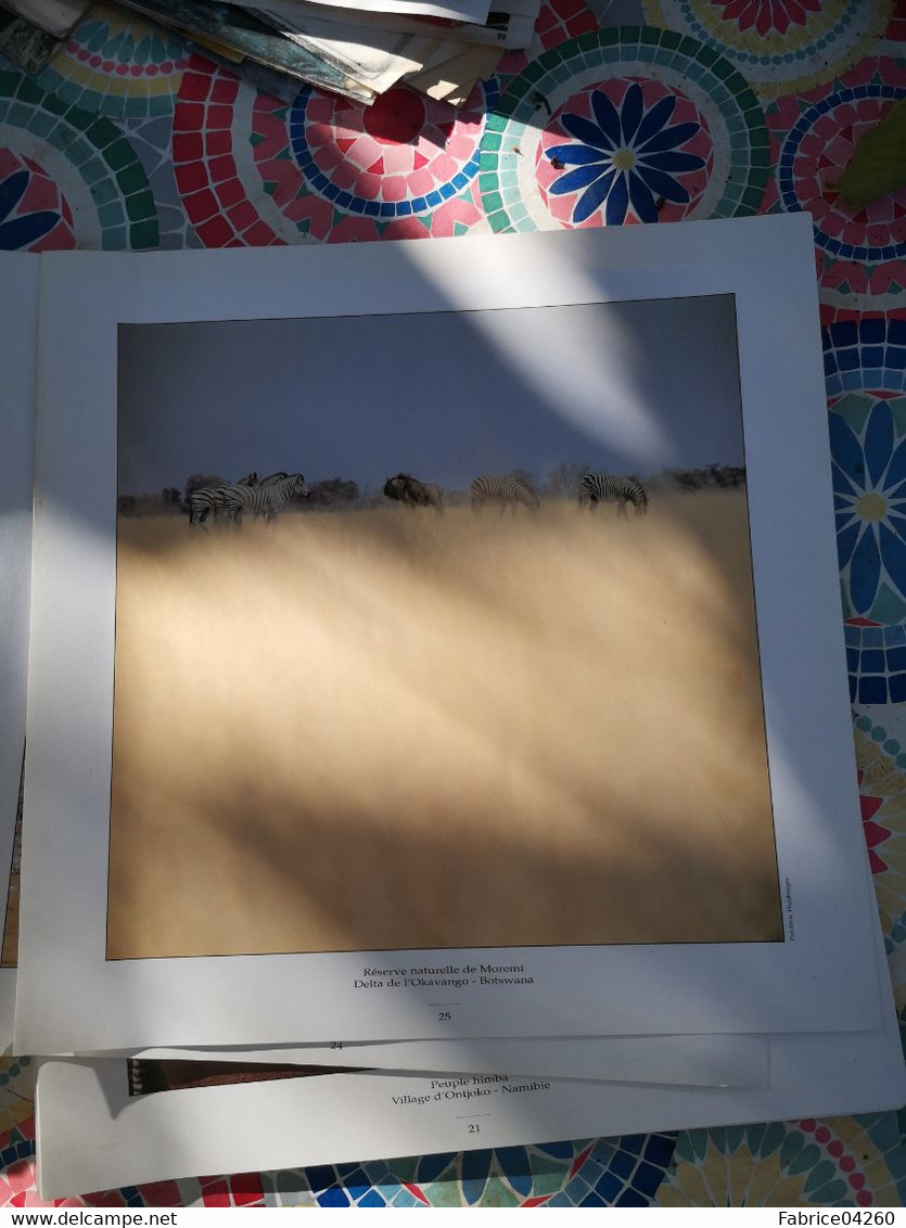 Photographie Animaux D'une Reserve - Afrique