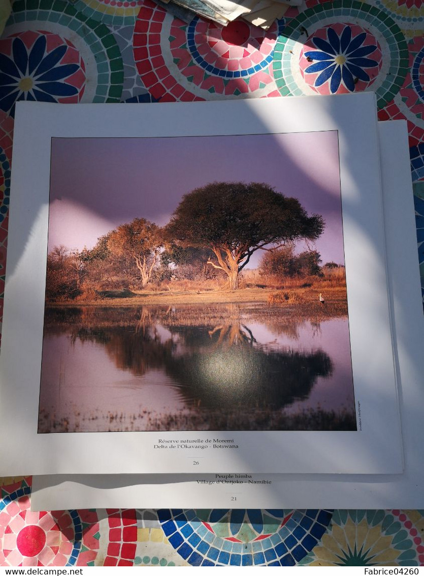 Photographie Animaux D'une Reserve - Afrique