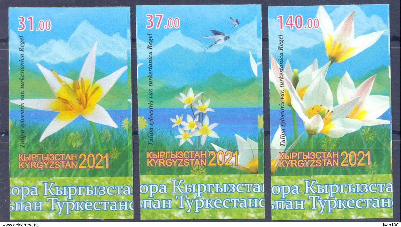 2021. Kyrgyzstan, Flora, Fauna, Turkestan Tulips, 3v Imperforated, Mint/** - Kirgisistan