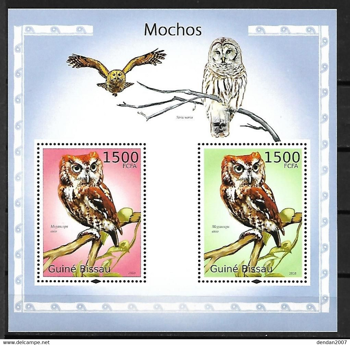 Guinea  Bissau - MNH ** 2010 :      Eastern Screech Owl  - Megascops Asio - Picchio & Uccelli Scalatori