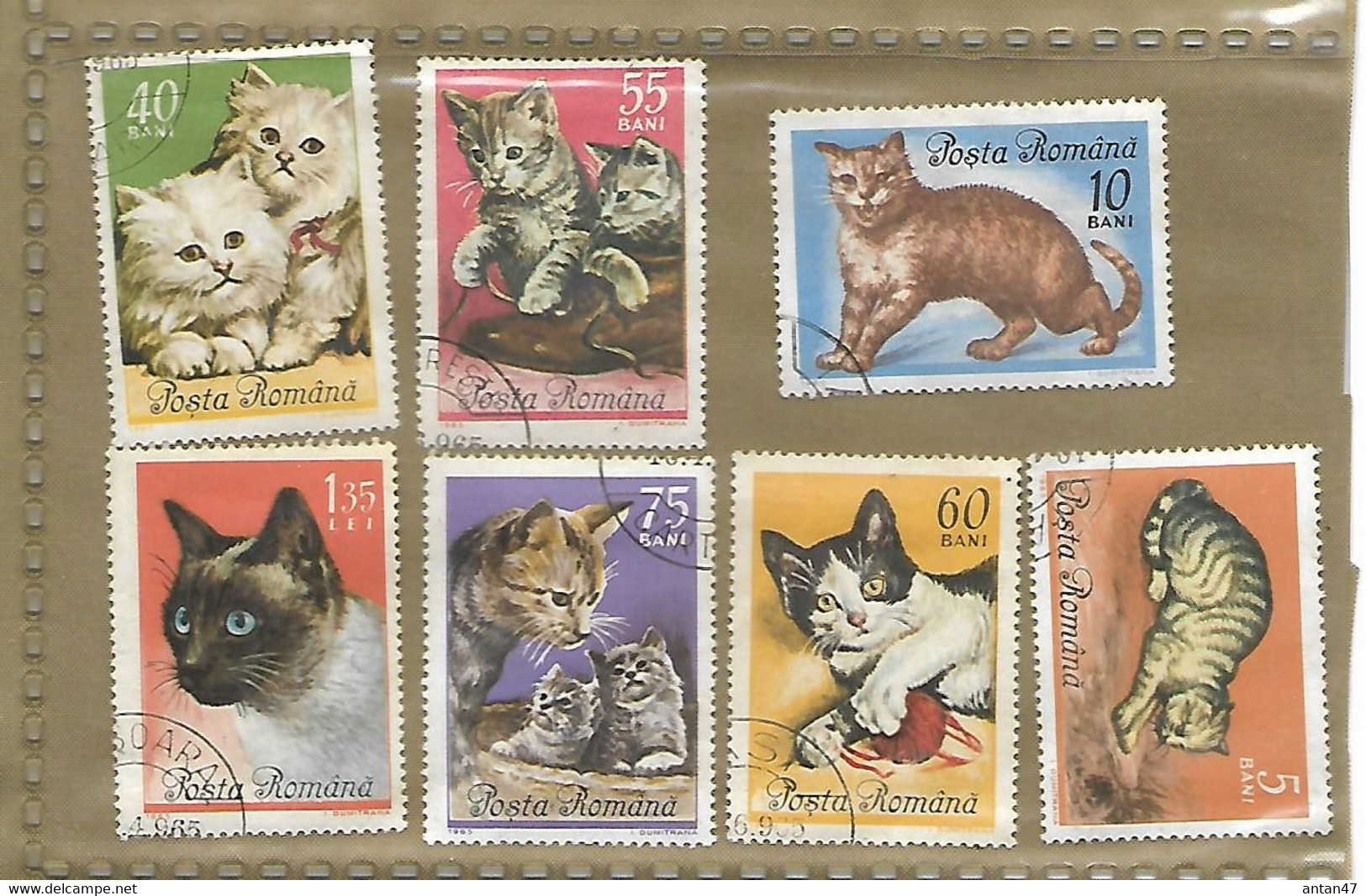 Lot De7 Timbres ITALIE  / CHAT - Colecciones